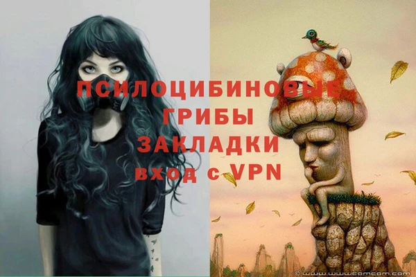 PSILOCYBIN Абдулино