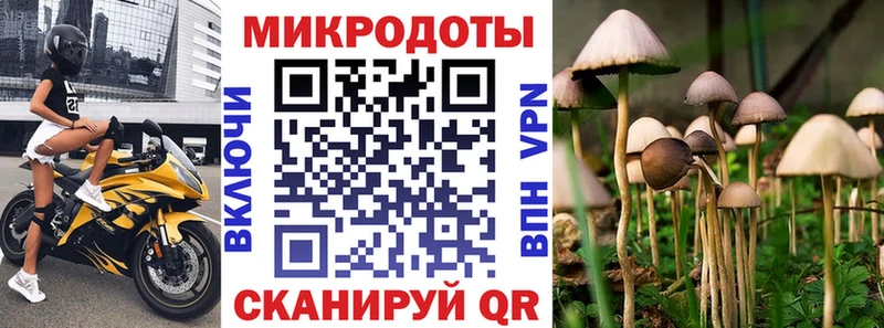 ОМГ ОМГ маркетплейс Дивногорск Псилоцибиновые грибы Psilocybe