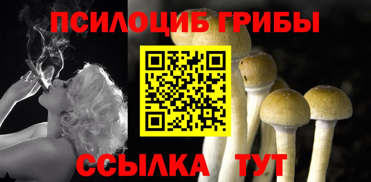 Псилоцибиновые грибы ЛСД Дивногорск